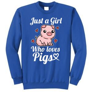 Just A Who Loves Pigs Cute Pig Costume Gift Sweatshirt