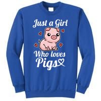 Just A Who Loves Pigs Cute Pig Costume Gift Sweatshirt