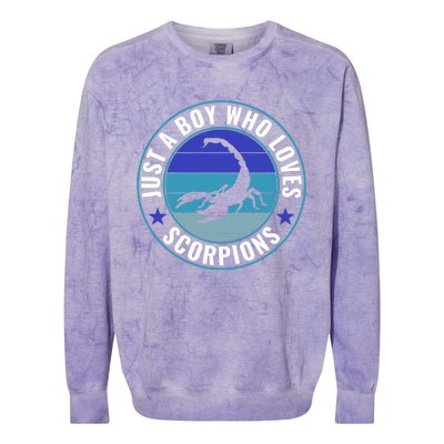 Just A Who Loves Scorpions Meaningful Gift Colorblast Crewneck Sweatshirt