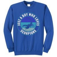 Just A Who Loves Scorpions Meaningful Gift Sweatshirt