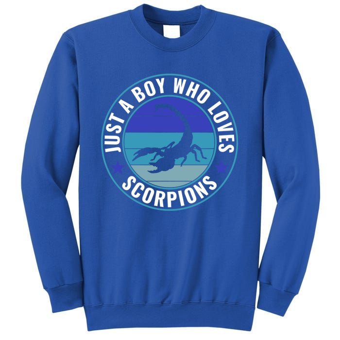 Just A Who Loves Scorpions Meaningful Gift Sweatshirt