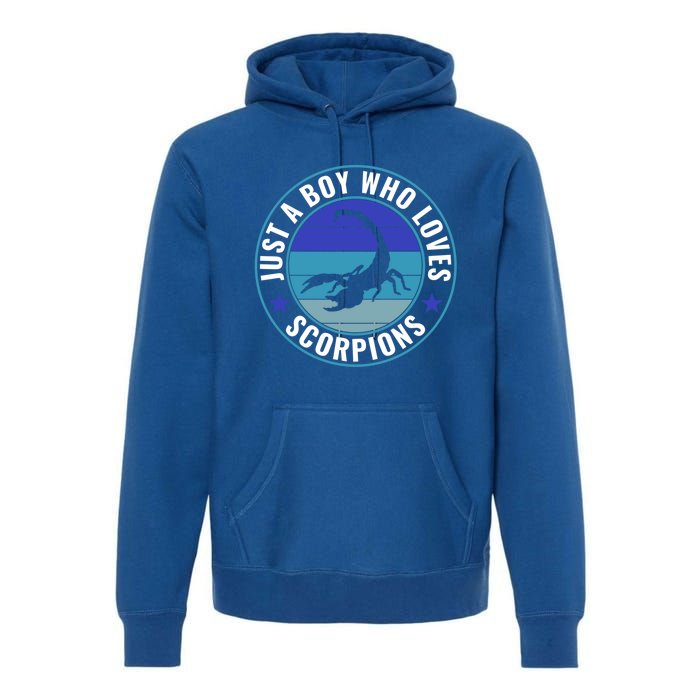 Just A Who Loves Scorpions Meaningful Gift Premium Hoodie