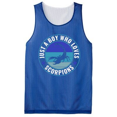 Just A Who Loves Scorpions Meaningful Gift Mesh Reversible Basketball Jersey Tank