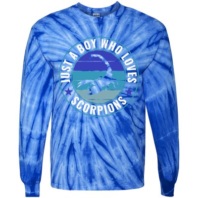 Just A Who Loves Scorpions Meaningful Gift Tie-Dye Long Sleeve Shirt