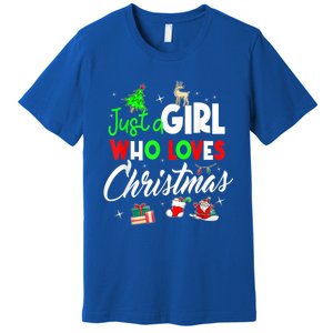 Just A Who Loves Christmas Meaningful Gift Premium T-Shirt