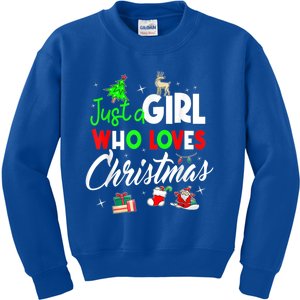 Just A Who Loves Christmas Meaningful Gift Kids Sweatshirt