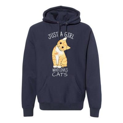 Just A Who Loves Cats Gift For Cat Lover Premium Hoodie