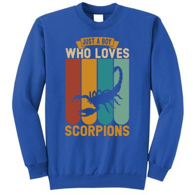 Just A Who Loves Scorpions Great Gift Sweatshirt