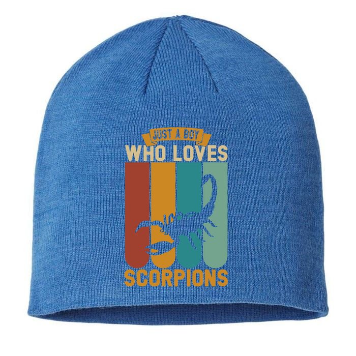 Just A Who Loves Scorpions Great Gift Sustainable Beanie