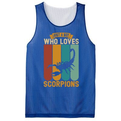 Just A Who Loves Scorpions Great Gift Mesh Reversible Basketball Jersey Tank