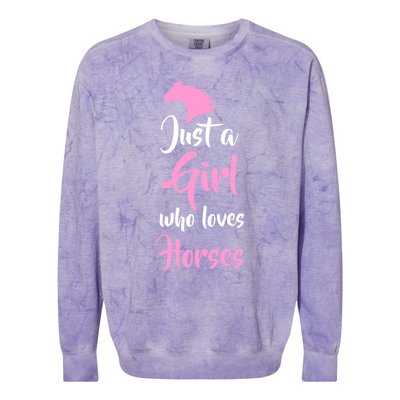 Just A Who Love Horses Horseback Riding Gift Meaningful Gift Colorblast Crewneck Sweatshirt