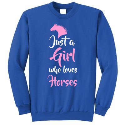 Just A Who Love Horses Horseback Riding Gift Meaningful Gift Sweatshirt