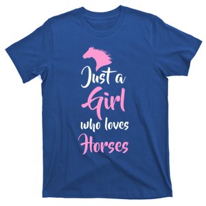 Just A Who Love Horses Horseback Riding Gift Meaningful Gift T-Shirt