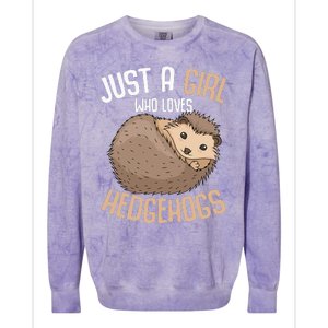 Just A Who Loves Hedgehogs Colorblast Crewneck Sweatshirt