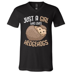 Just A Who Loves Hedgehogs V-Neck T-Shirt