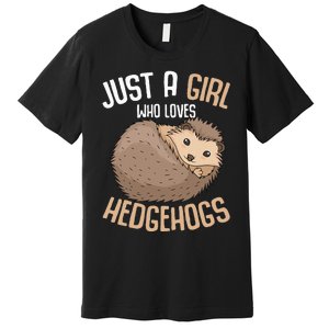 Just A Who Loves Hedgehogs Premium T-Shirt