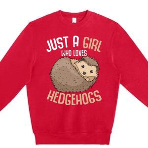 Just A Who Loves Hedgehogs Premium Crewneck Sweatshirt