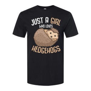 Just A Who Loves Hedgehogs Softstyle CVC T-Shirt