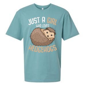 Just A Who Loves Hedgehogs Sueded Cloud Jersey T-Shirt