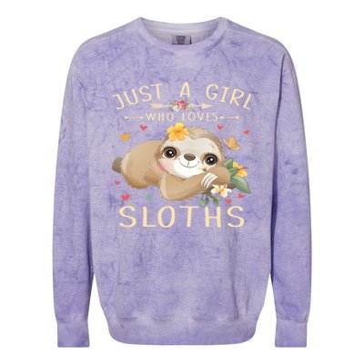 Just A Who Loves Sloths Cute Sloth Lover Gift Colorblast Crewneck Sweatshirt