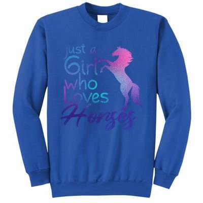 Just A Who Loves Horses Cute Horse Cute Gift Sweatshirt