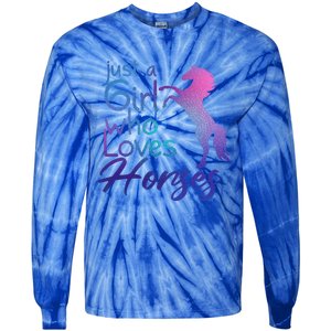 Just A Who Loves Horses Cute Horse Cute Gift Tie-Dye Long Sleeve Shirt