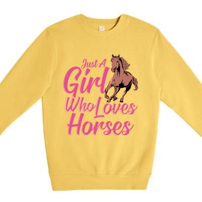 Just A Who Loves Horses Equestrian Horseback Riding Gift Premium Crewneck Sweatshirt