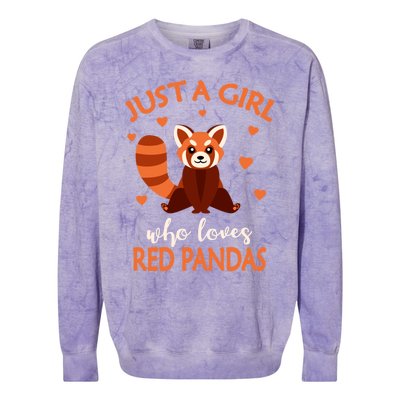 Just A Who Loves Red Pandas Red Panda Gift Colorblast Crewneck Sweatshirt