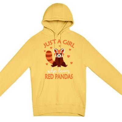 Just A Who Loves Red Pandas Red Panda Gift Premium Pullover Hoodie