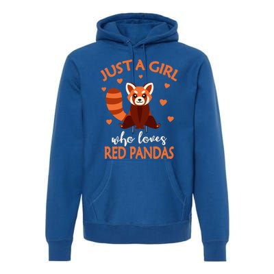 Just A Who Loves Red Pandas Red Panda Gift Premium Hoodie