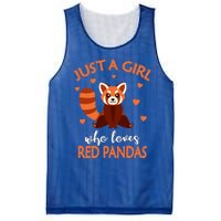 Just A Who Loves Red Pandas Red Panda Gift Mesh Reversible Basketball Jersey Tank