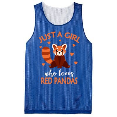 Just A Who Loves Red Pandas Red Panda Gift Mesh Reversible Basketball Jersey Tank