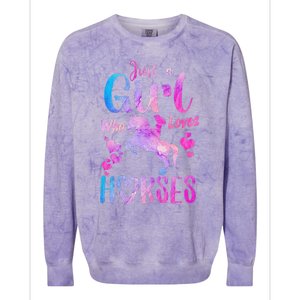 Just A Who Loves Horses Riding Cute Horse Colorblast Crewneck Sweatshirt