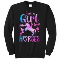 Just A Who Loves Horses Riding Cute Horse Sweatshirt