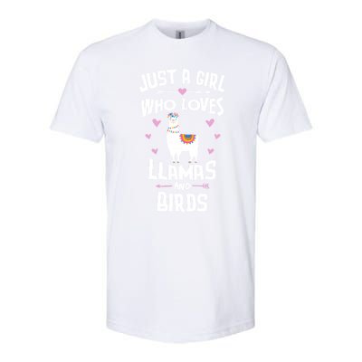 Just A Who Loves Llamas And Birds Gift Softstyle® CVC T-Shirt