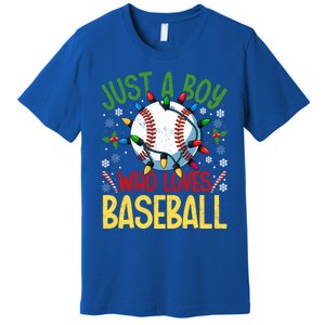 Just A Who Loves Baseball Christmas Lights Snowflakes Meaningful Gift Premium T-Shirt