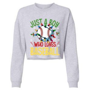 Just A Who Loves Baseball Christmas Lights Snowflakes Meaningful Gift Cropped Pullover Crew