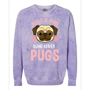 Just A Who Loves Pugs Gift Colorblast Crewneck Sweatshirt