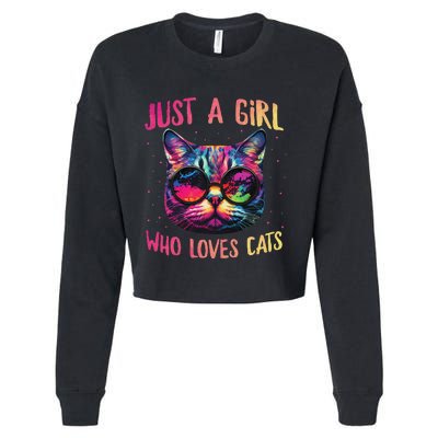 Just A  Who Loves Cats Colorful Cat Watercolor Cropped Pullover Crew