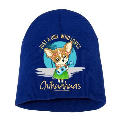 Just A Who Loves Chihuahuas Ukulele Beach Chihuahuas Gift Short Acrylic Beanie