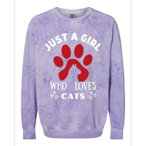 Just A Who Loves Cats Valentines Day Cats Funny Gift Colorblast Crewneck Sweatshirt