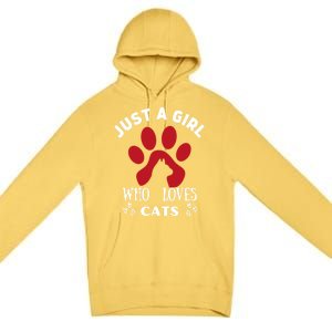 Just A Who Loves Cats Valentines Day Cats Funny Gift Premium Pullover Hoodie