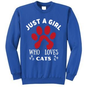 Just A Who Loves Cats Valentines Day Cats Funny Gift Sweatshirt