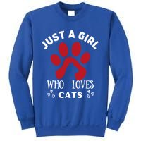 Just A Who Loves Cats Valentines Day Cats Funny Gift Sweatshirt