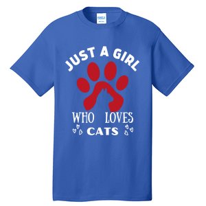 Just A Who Loves Cats Valentines Day Cats Funny Gift Tall T-Shirt