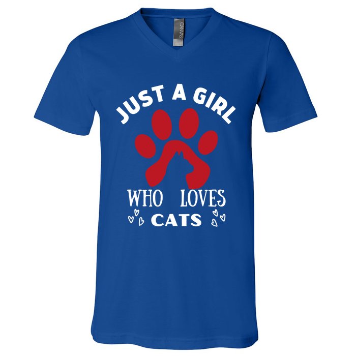 Just A Who Loves Cats Valentines Day Cats Funny Gift V-Neck T-Shirt