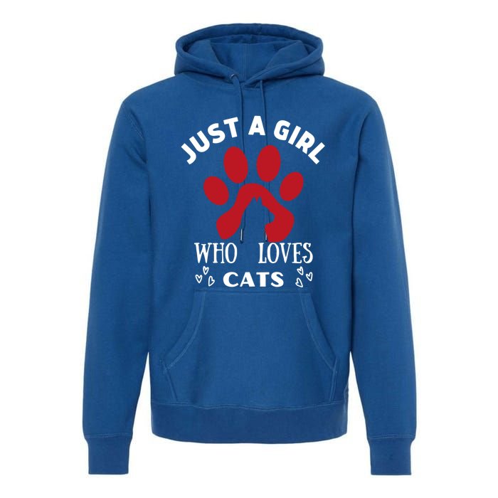 Just A Who Loves Cats Valentines Day Cats Funny Gift Premium Hoodie