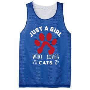 Just A Who Loves Cats Valentines Day Cats Funny Gift Mesh Reversible Basketball Jersey Tank