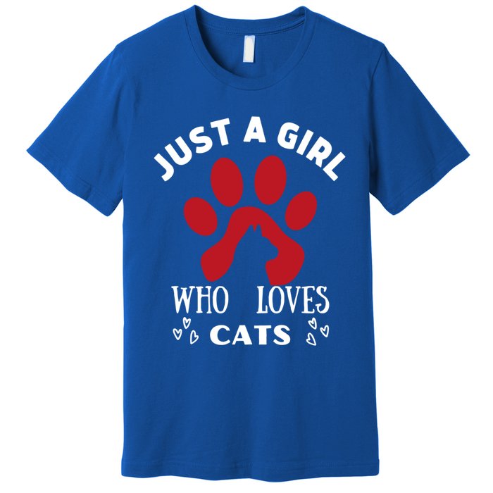 Just A Who Loves Cats Valentines Day Cats Funny Gift Premium T-Shirt