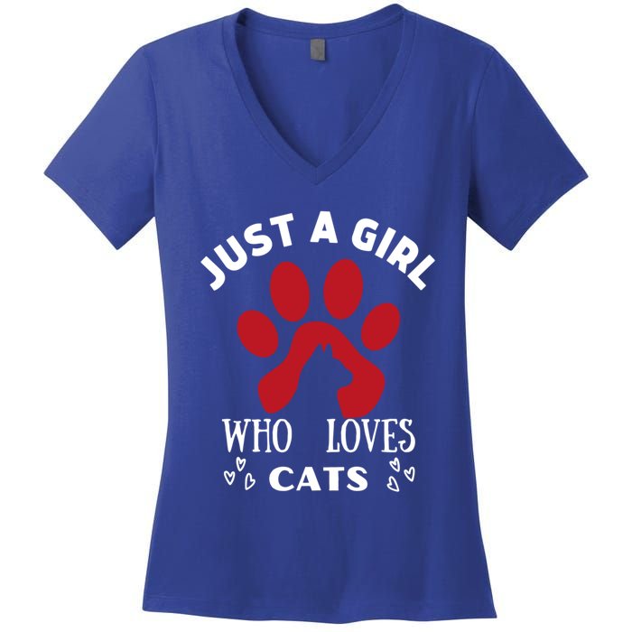 Just A Who Loves Cats Valentines Day Cats Funny Gift Women's V-Neck T-Shirt